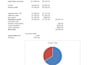 provide ecommerce profit and loss financial statement